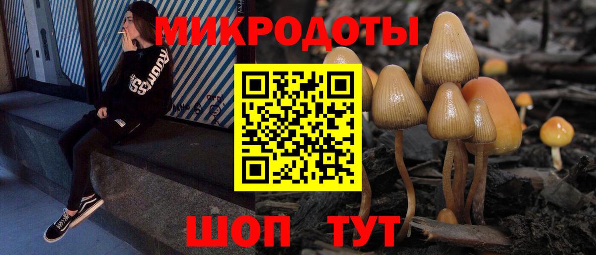 Псилоцибиновые грибы GOLDEN TEACHER  Вход с VPN  Кохма 