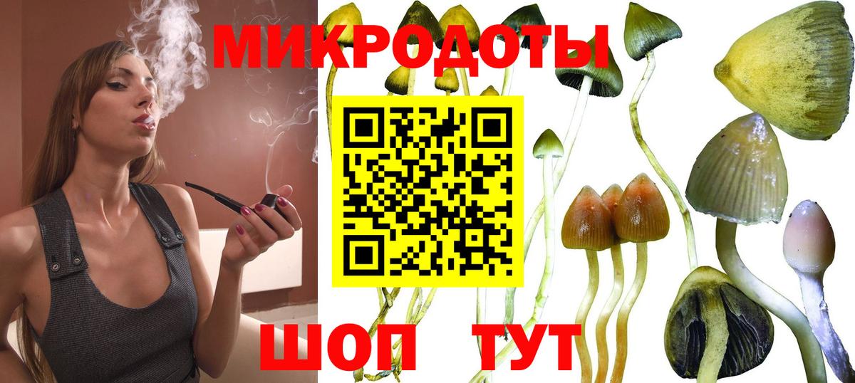 Псилоцибиновые грибы Magic Shrooms Кохма